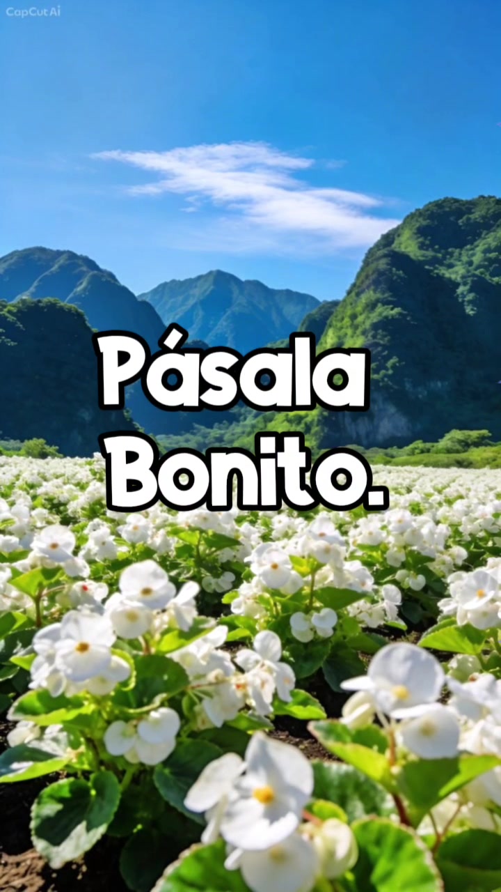 @Arely Mendoza Frases bonitas