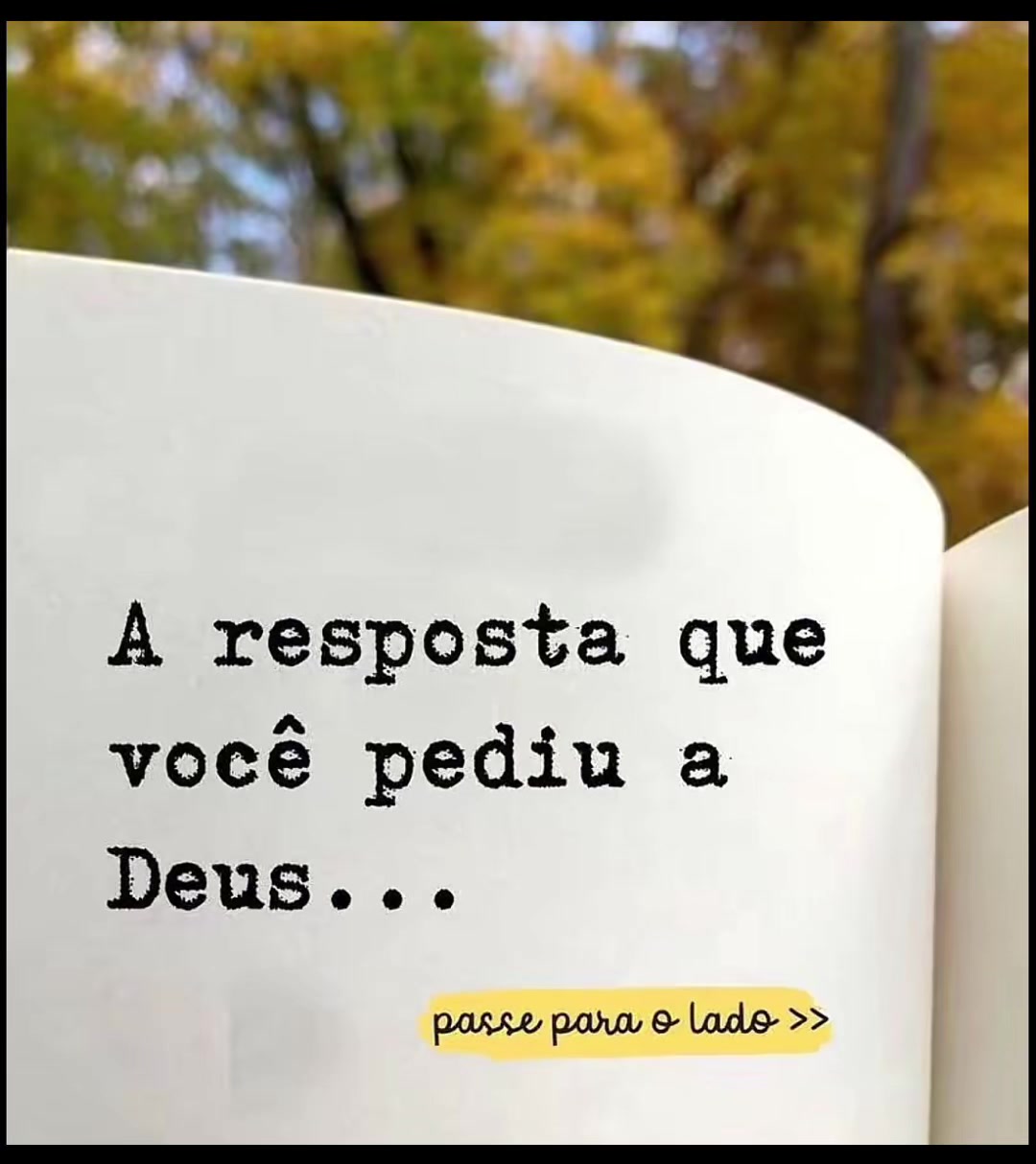 @Rose Razzano