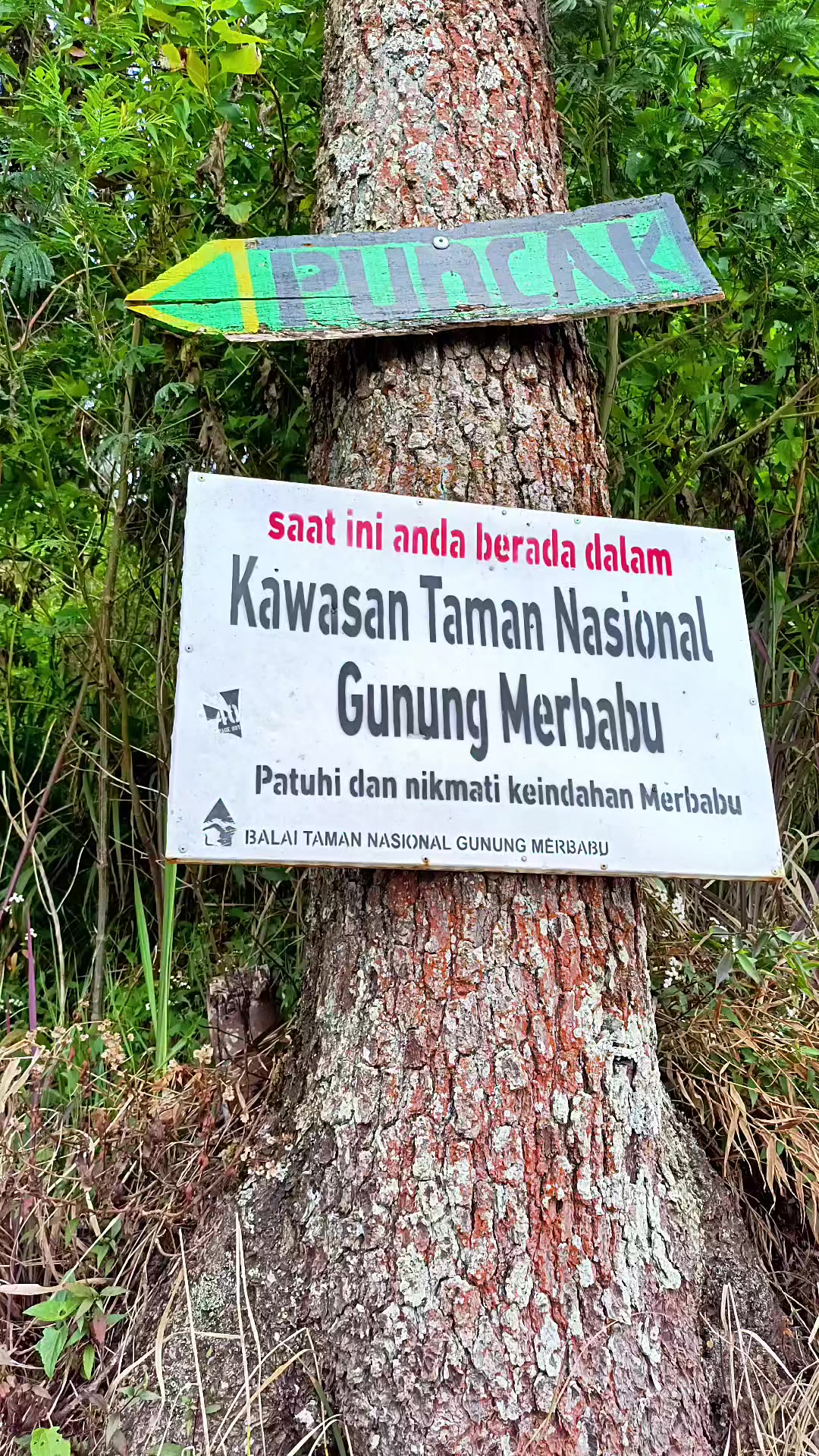 @Maya Hobi Trip