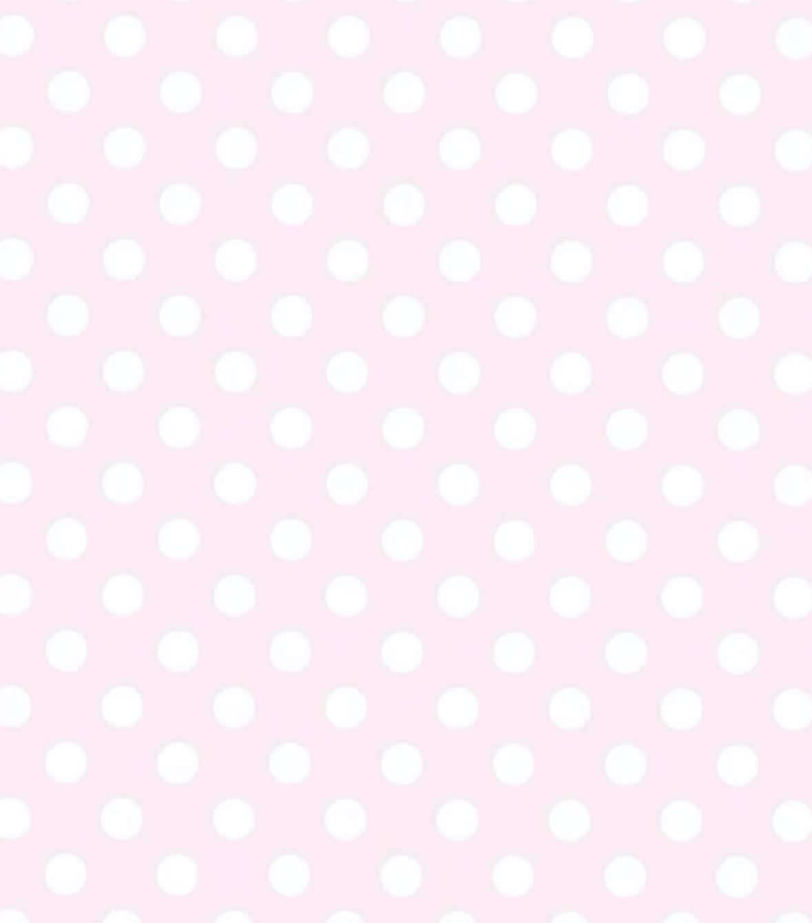 @꒰ঌ໒꒱ ˚₊ ℳ𝒾𝓈ℴ ₊˚🪽ෆ