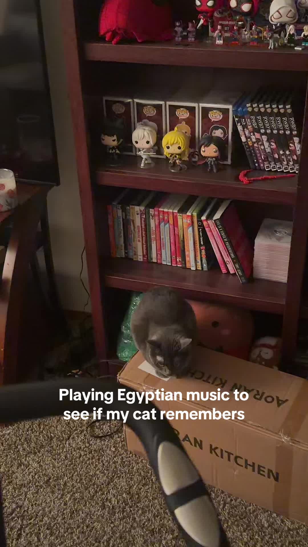 @Sabrina