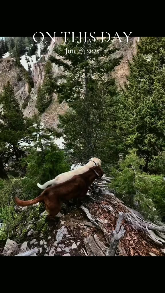 @Charlie&CrewAdventures