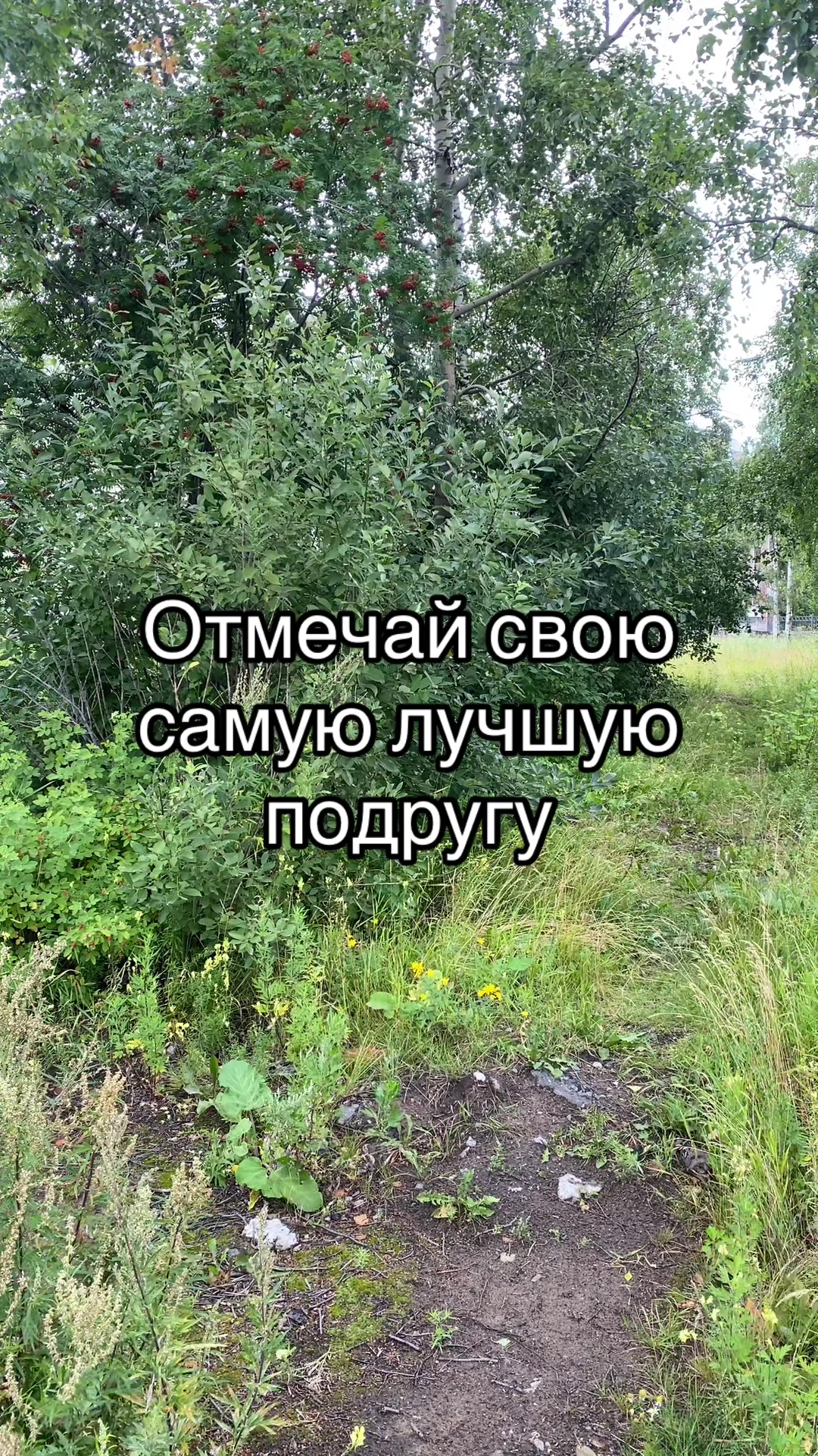 @Данил
