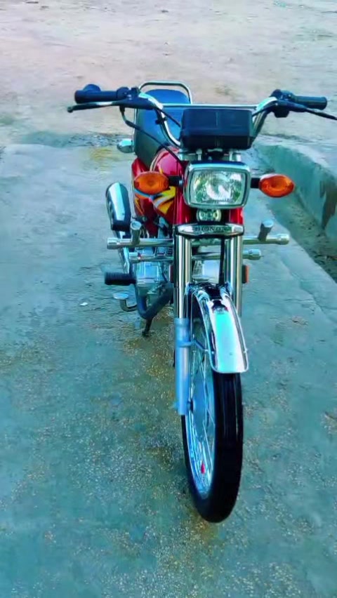 @🪽🎲👹محمد فواد مغل👹 🎲🪽