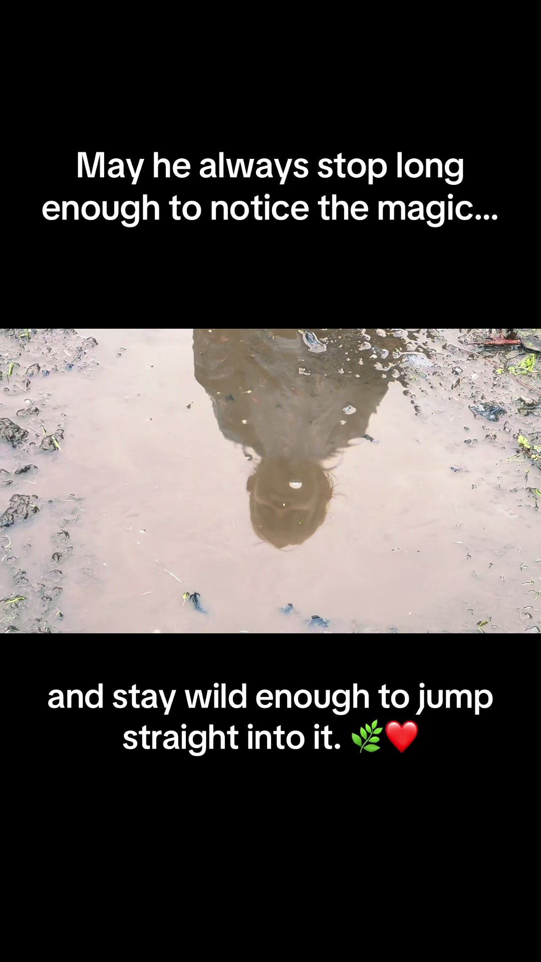 @The Wild Light Way