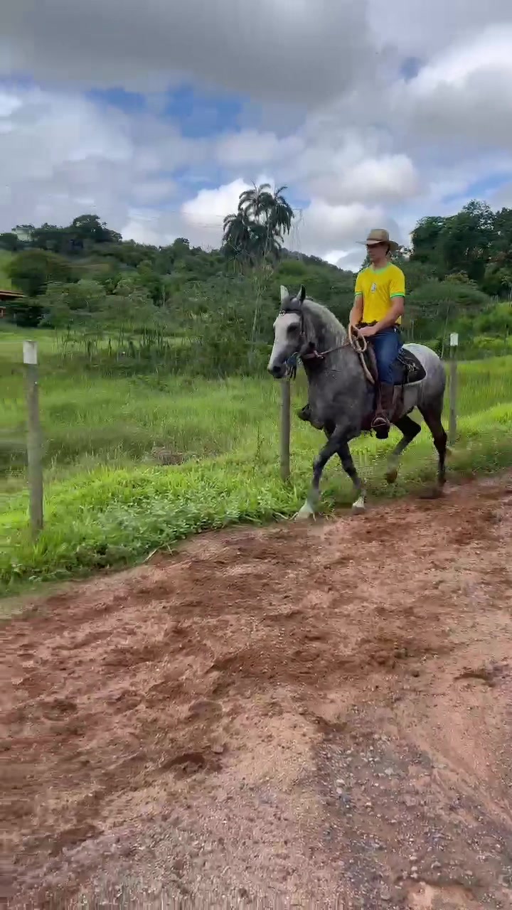 @Filipe Vieira