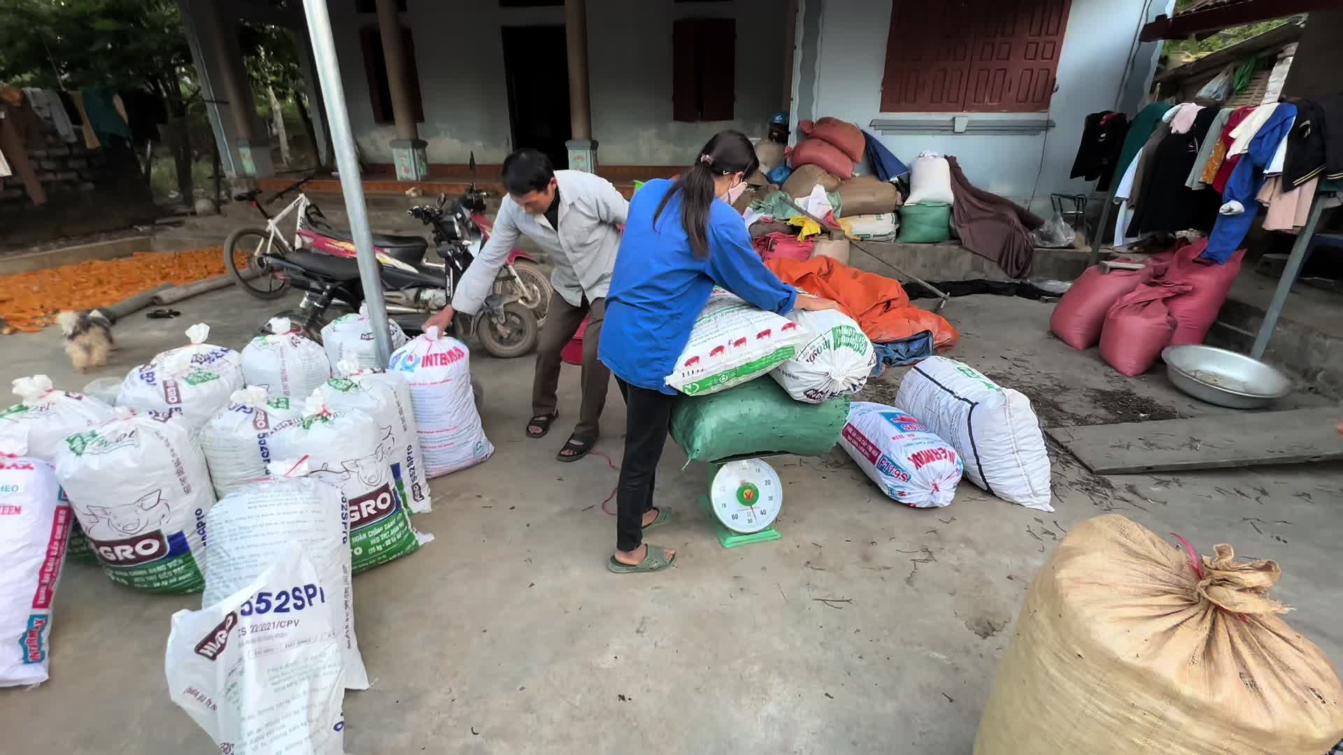 @Nh&agrave; Vườn Vũ Mai