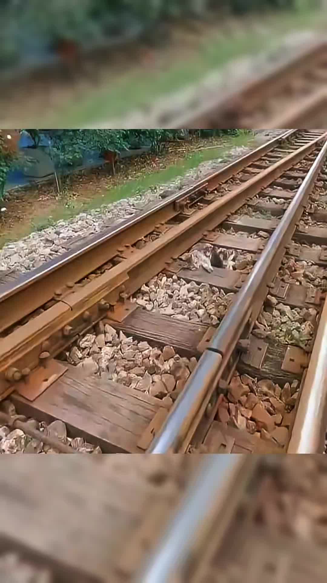 @Historias sobre Ruedas