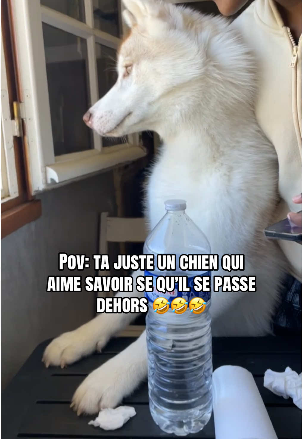 @𝓡𝓲𝓻𝓲愛