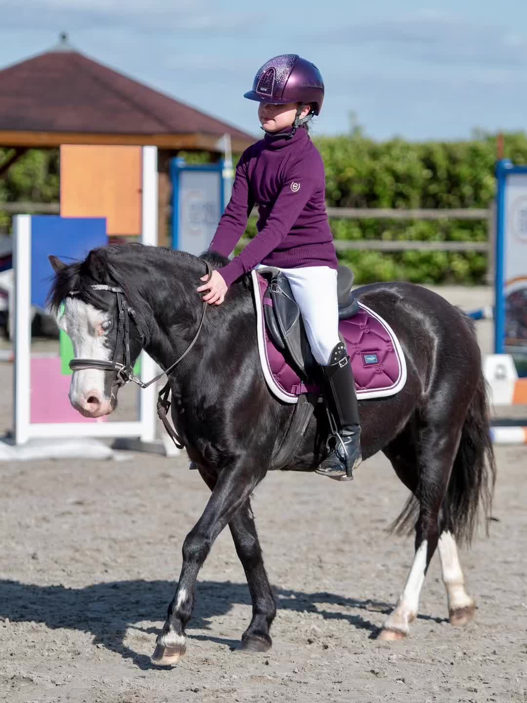 @paardplaats
