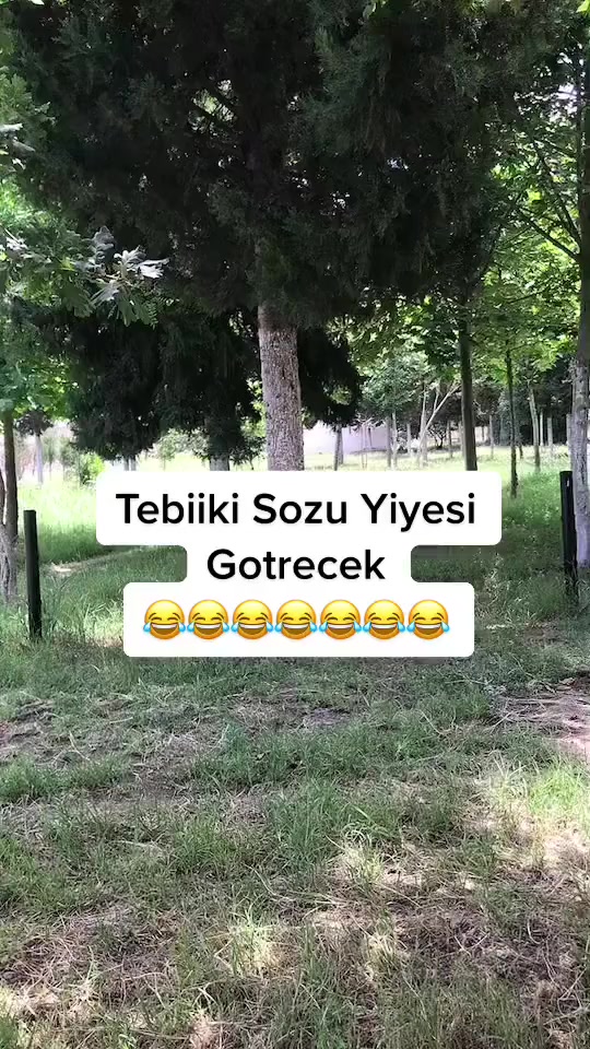 @xeyalrm