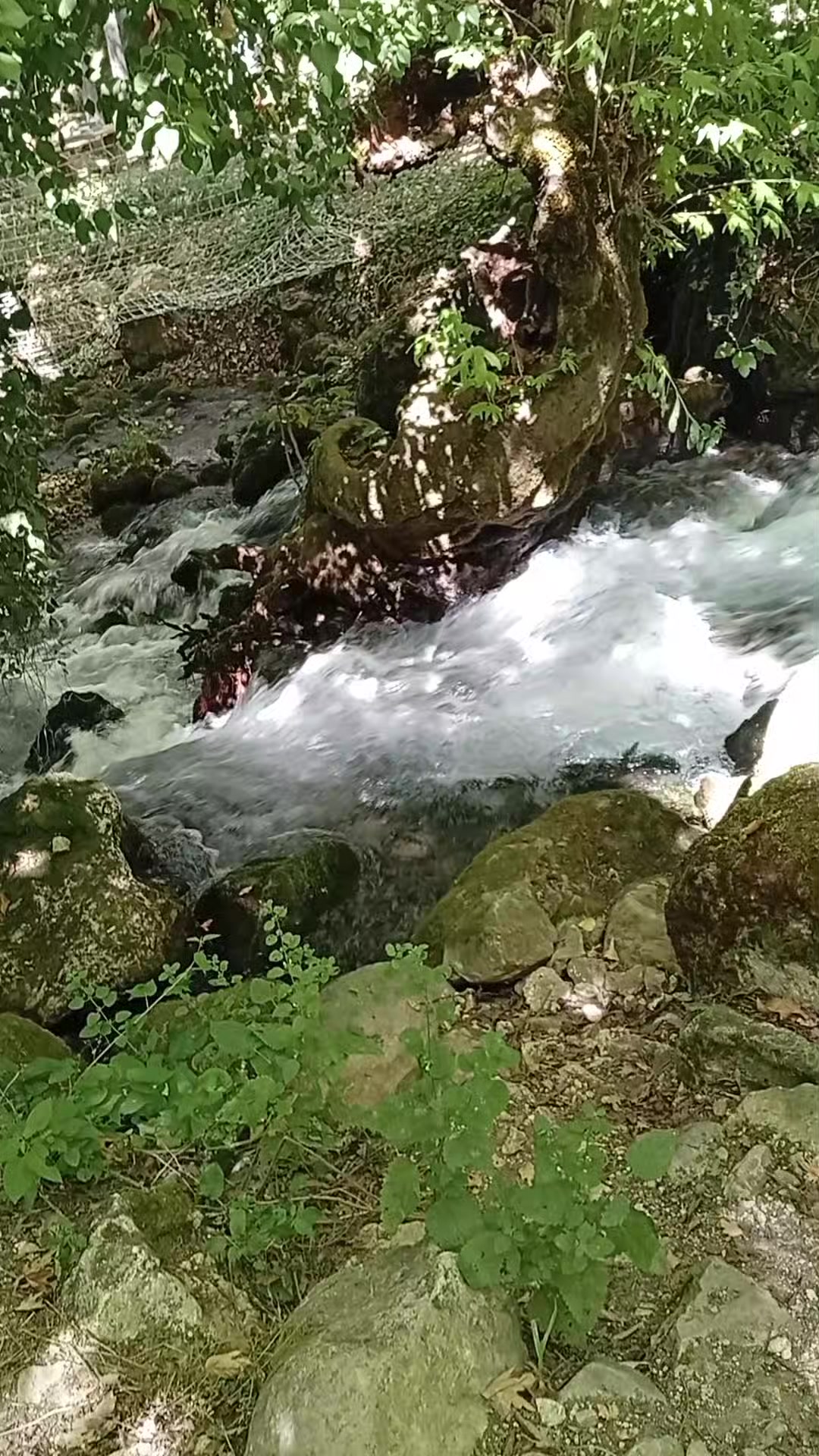 @İnceerler-Karavanda