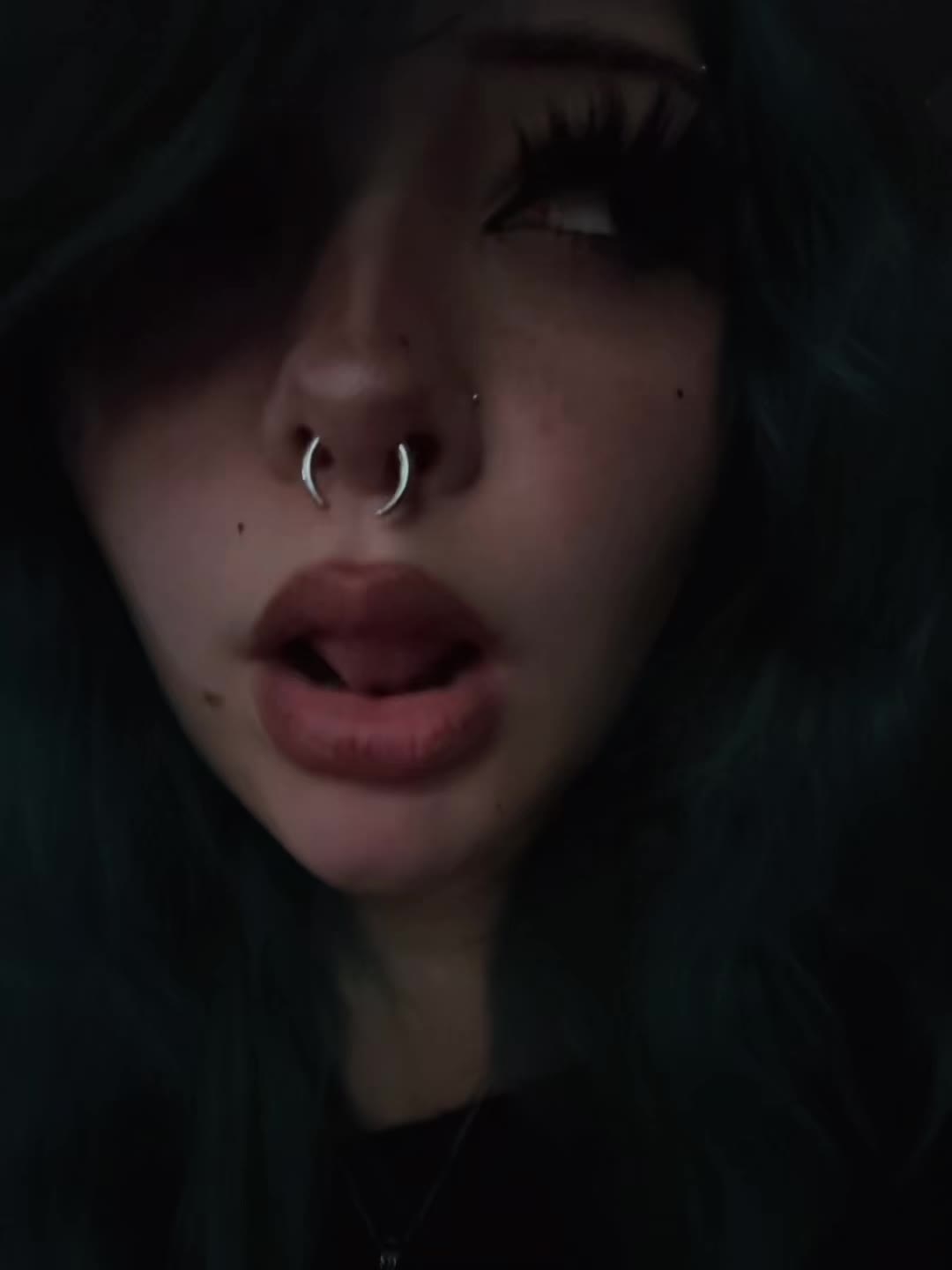 @🐾