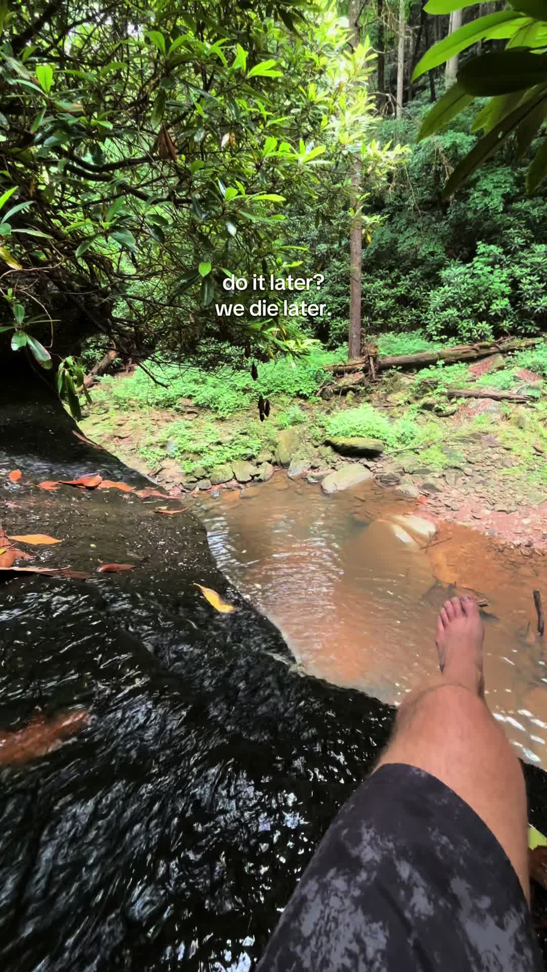 @How to get Ticks