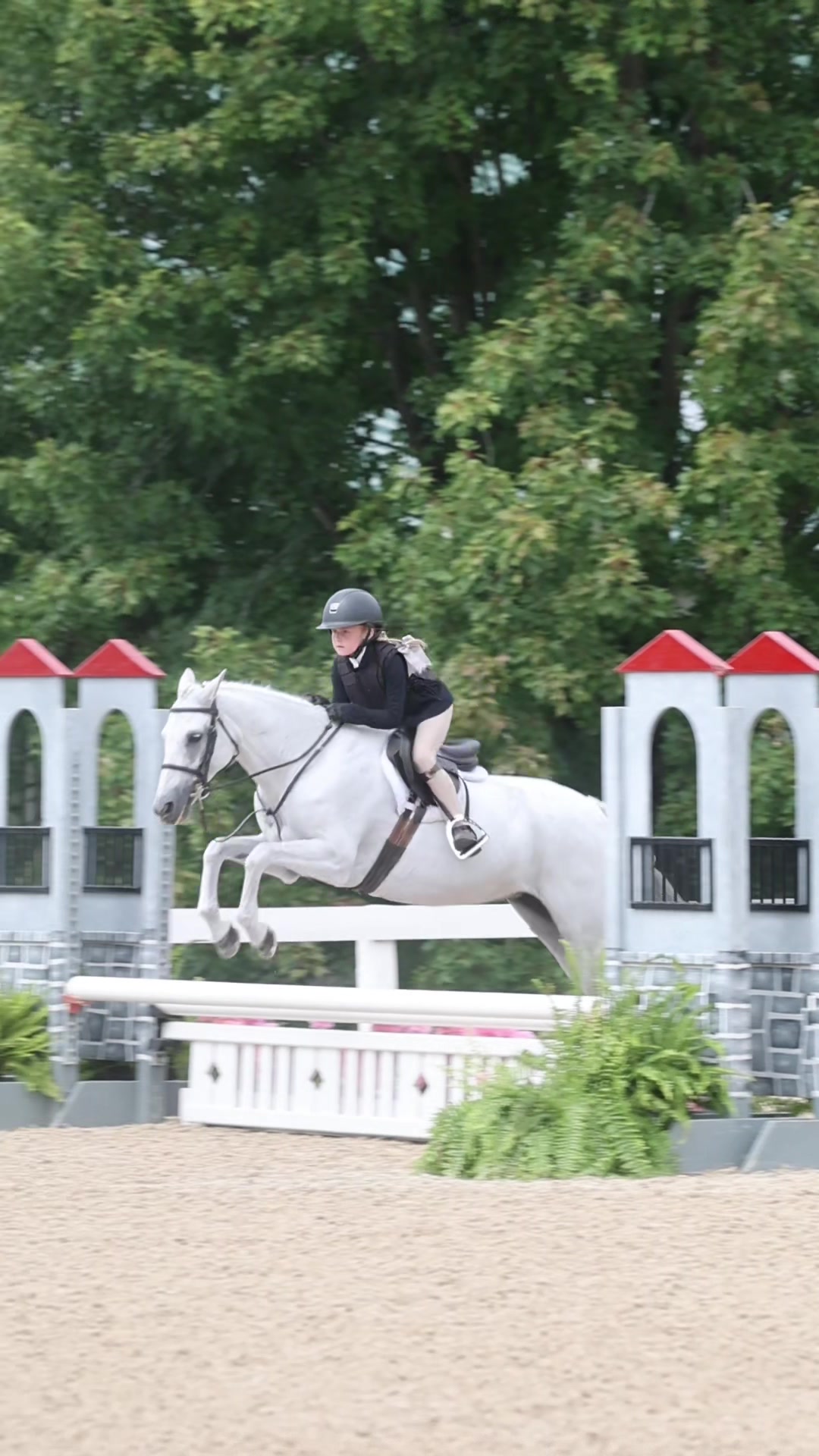 @ckponies