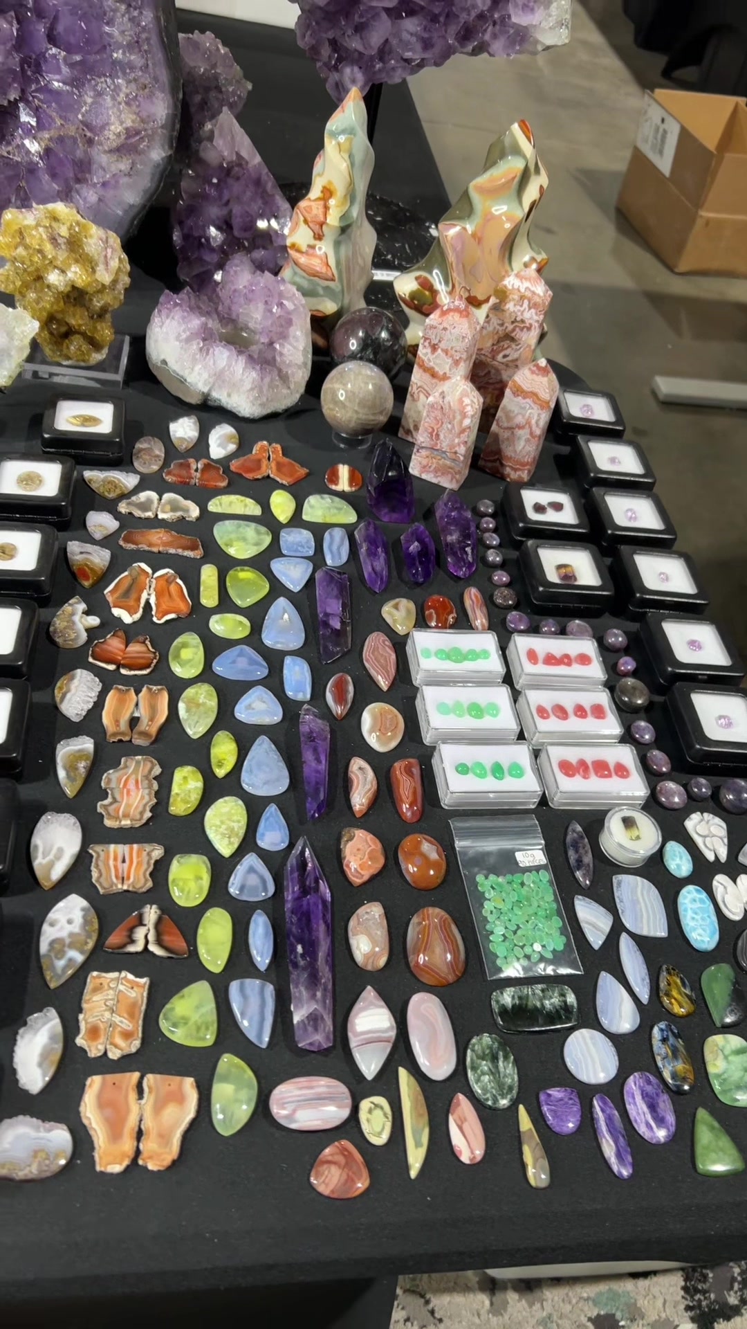 @🔮CrystalPacifica🔮