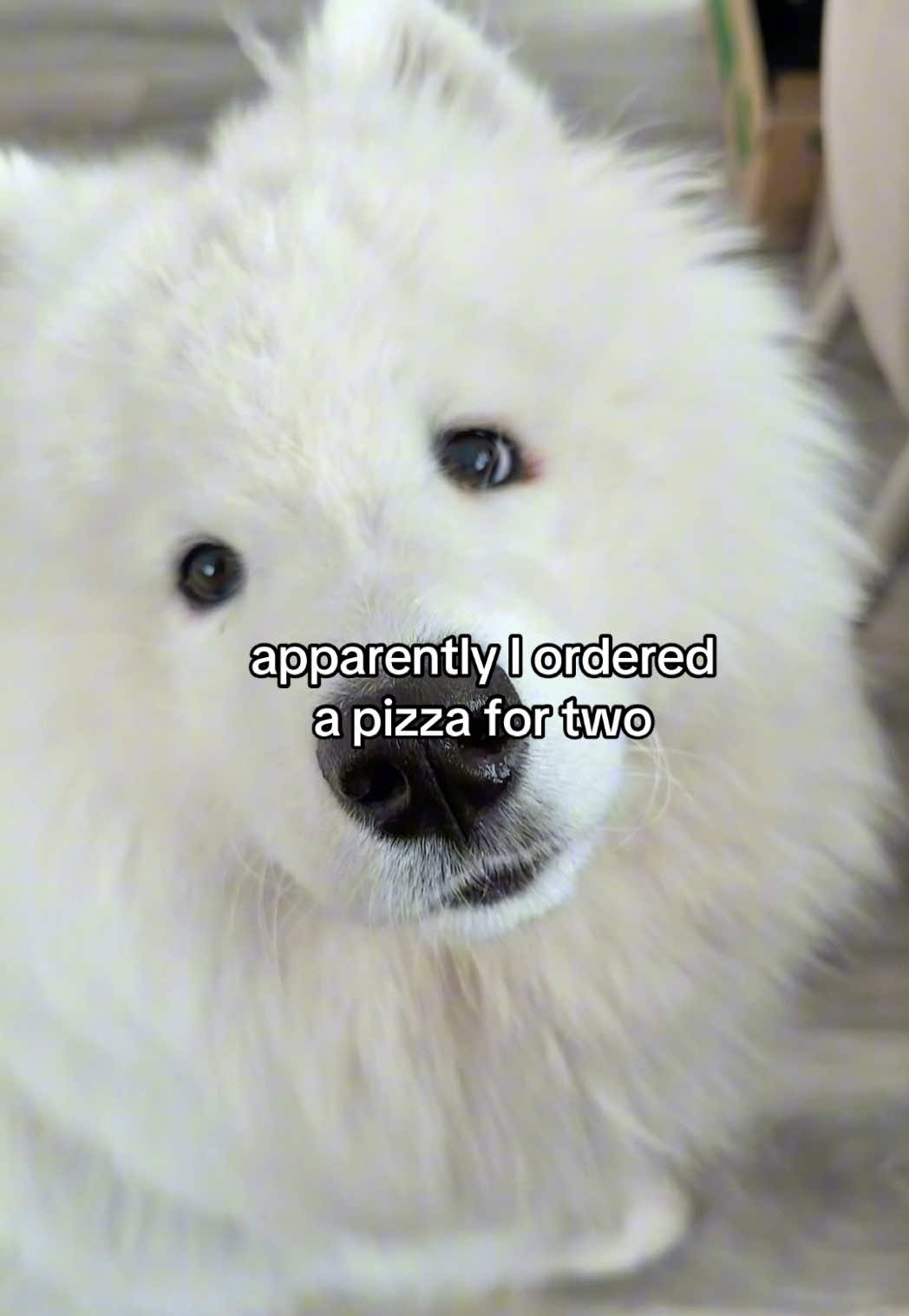 @snowydayswithlio