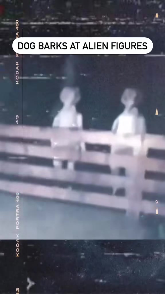 @SCARYVIDEOS