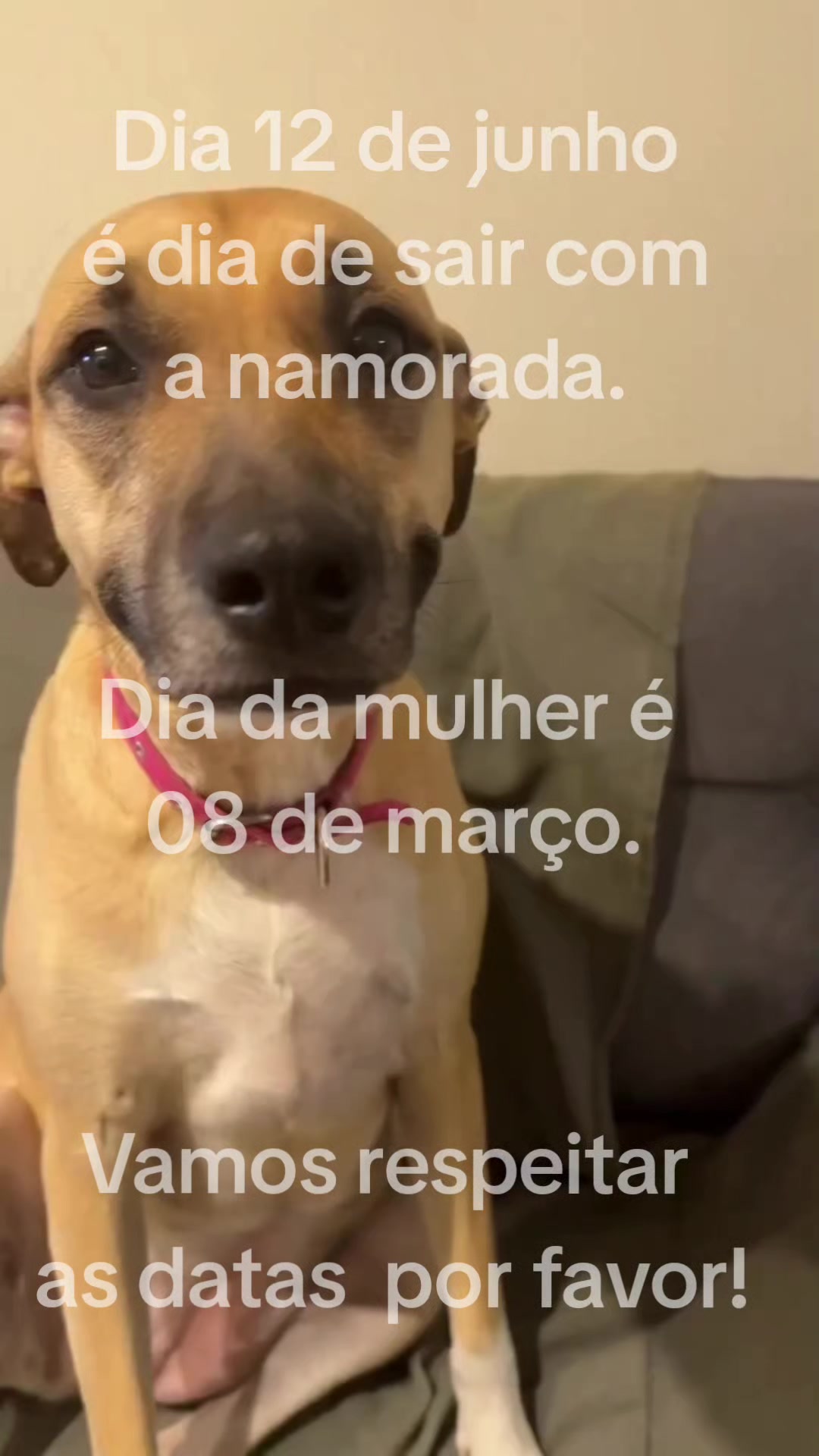 @trendsjustcut