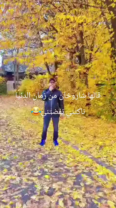 @amazighi