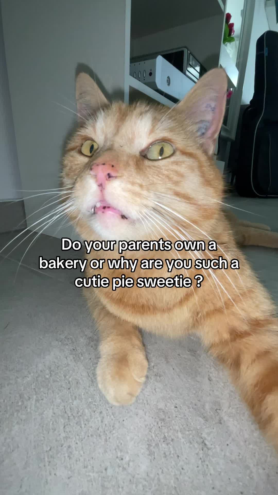 @Simba