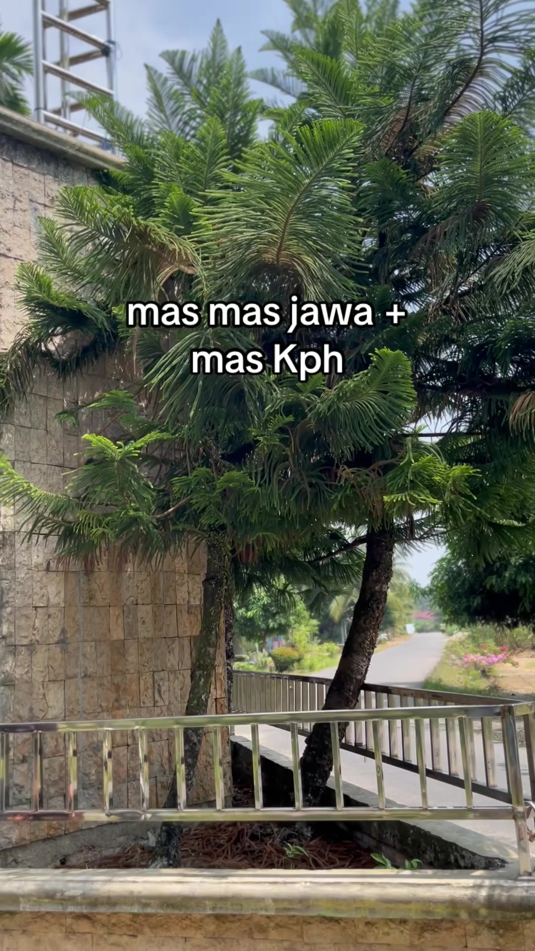 @sipalo.o