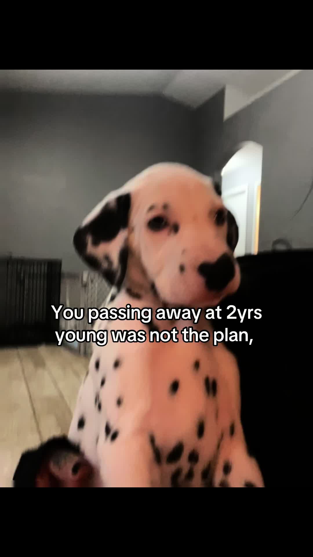 @Oogietheboogie 🖤