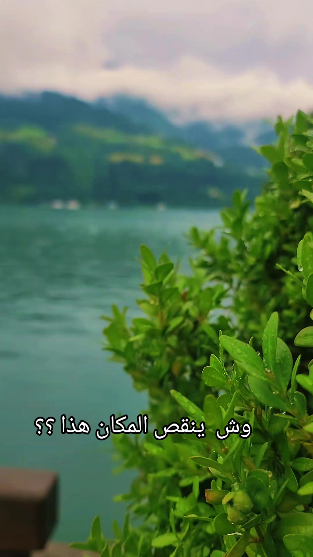 @Akil Alhalmi عقيل الحالمي
