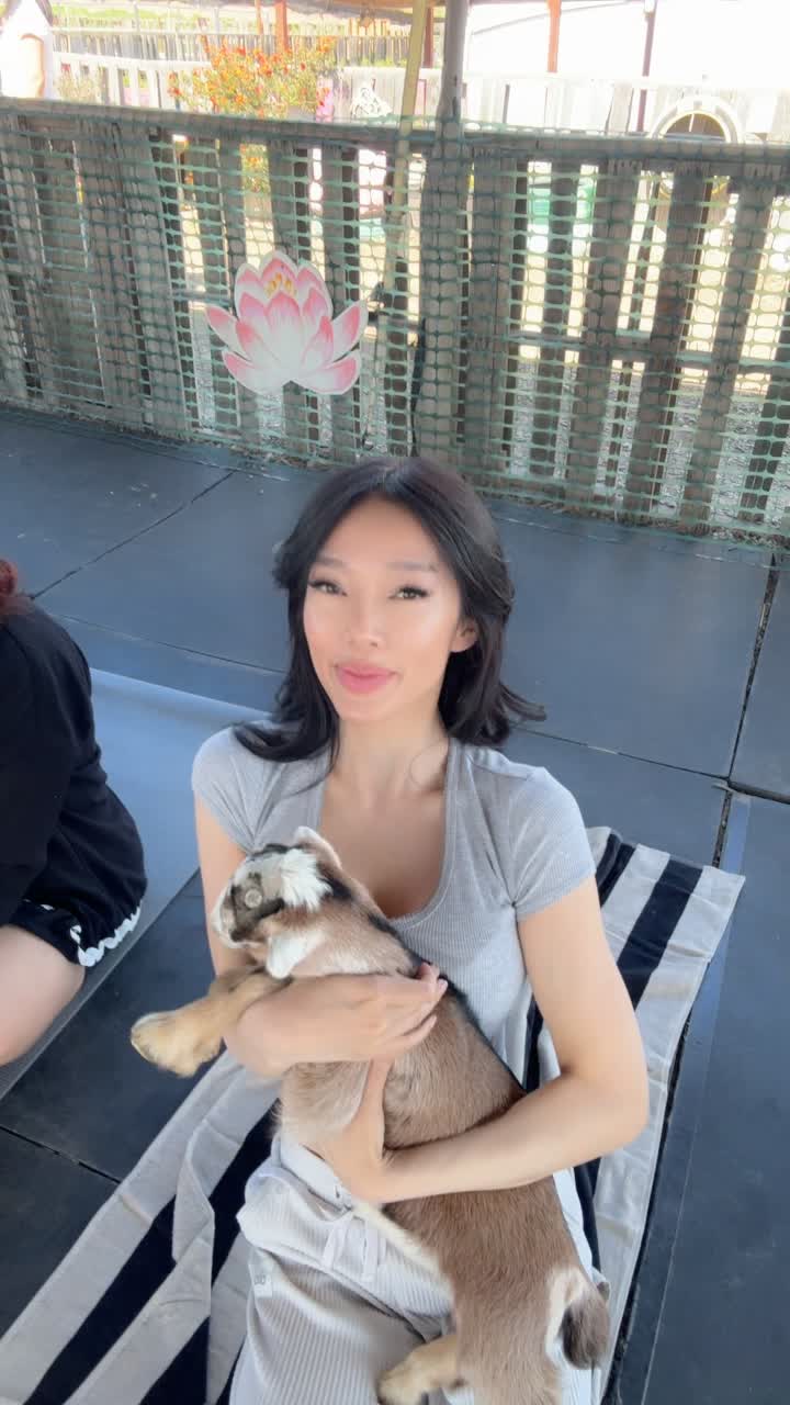 @Lily van Dang
