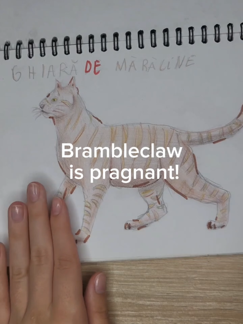 @Diana Burdianov
