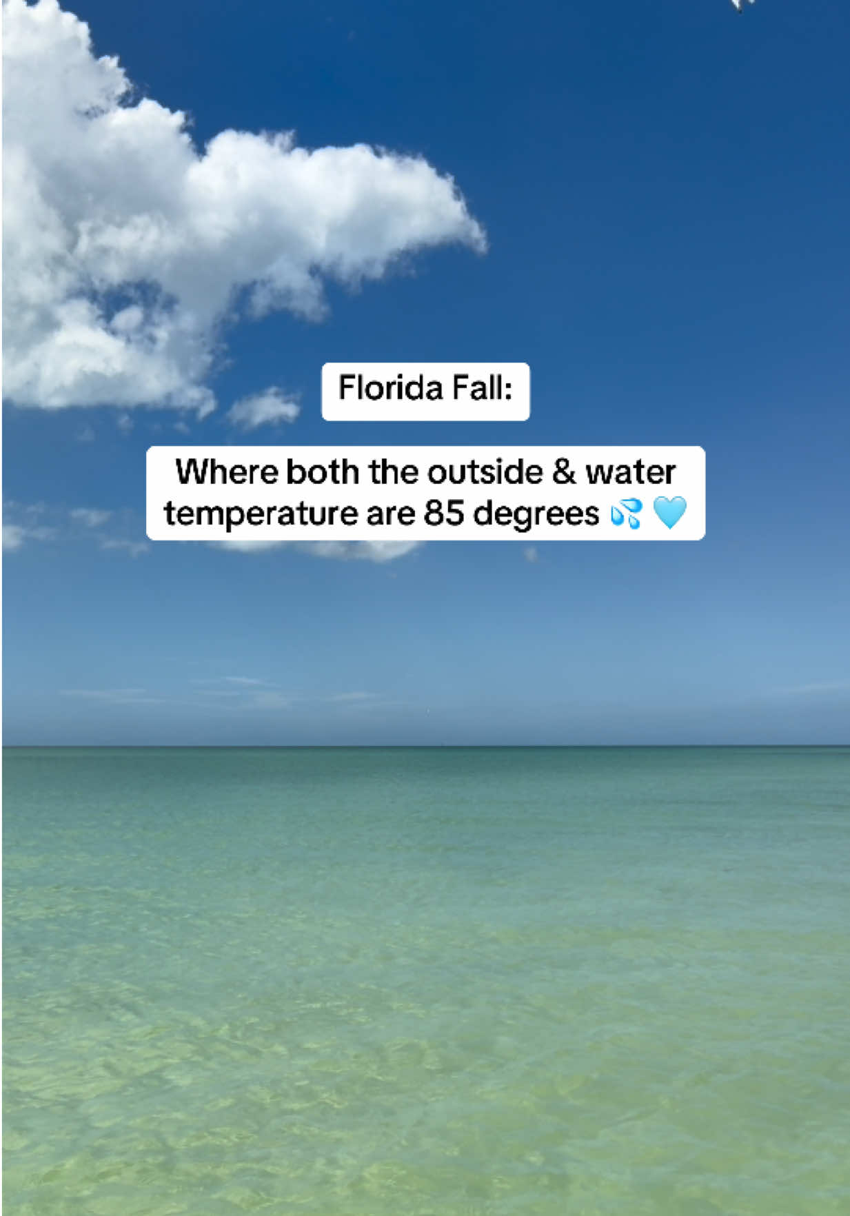 @lily || fl lifestyle & travel