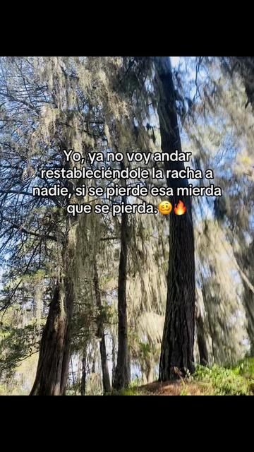 @Noemy🫧🍒