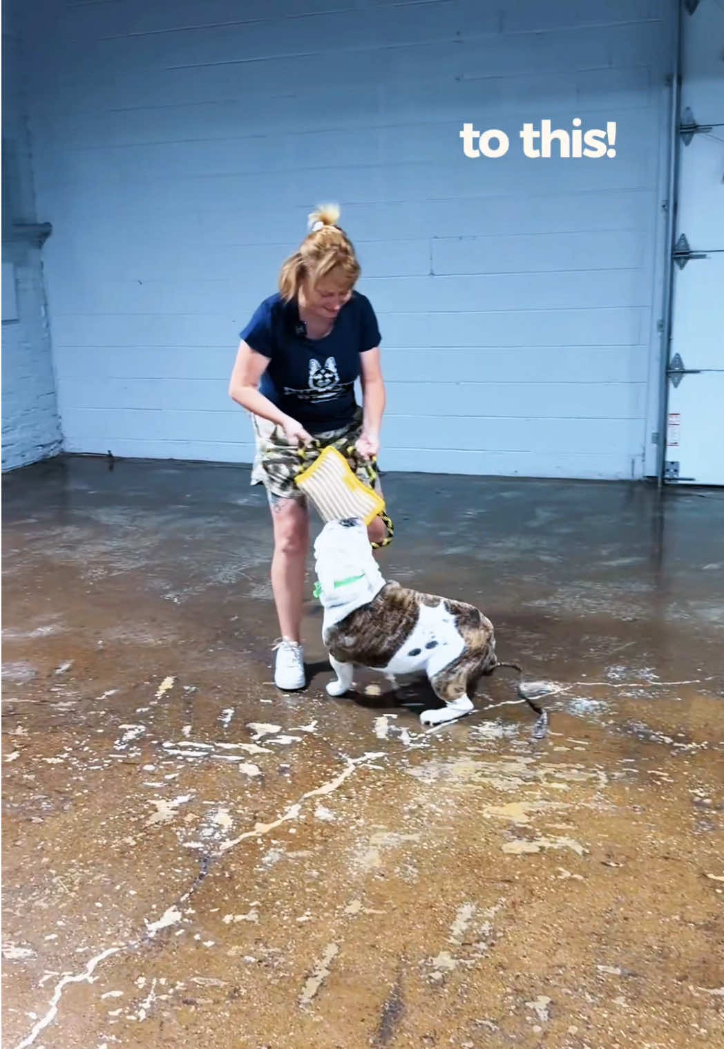 @Miracle K9 Training