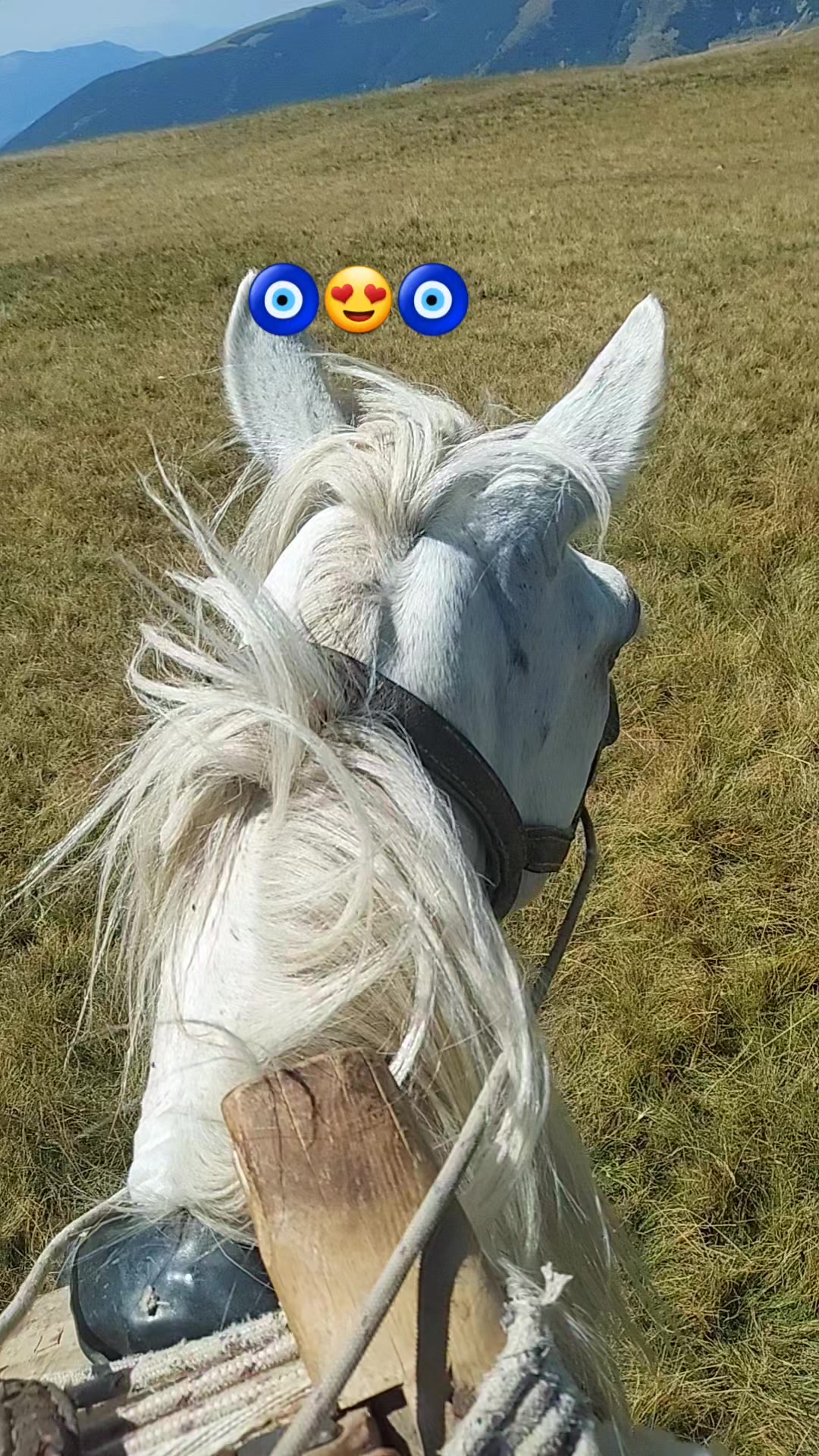 @Fshati_fshat😍