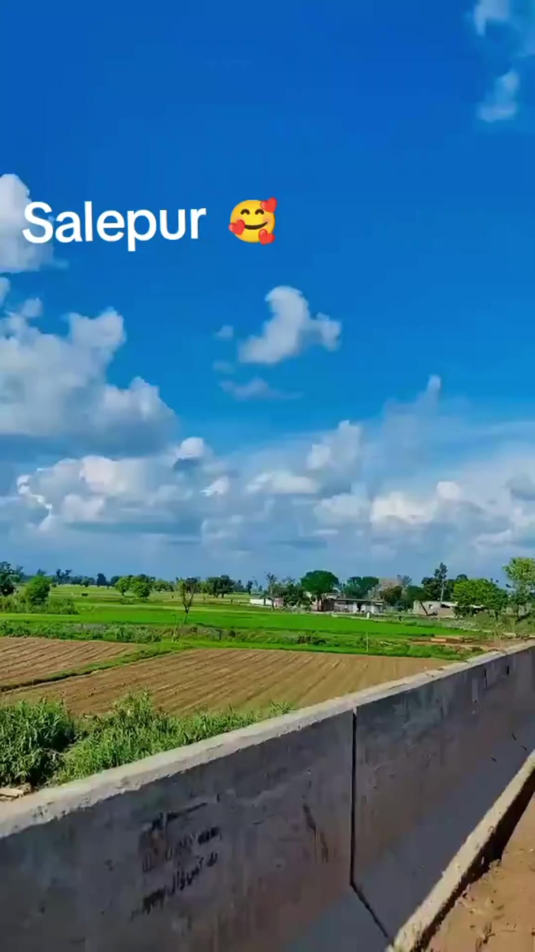 @asmamMehar1