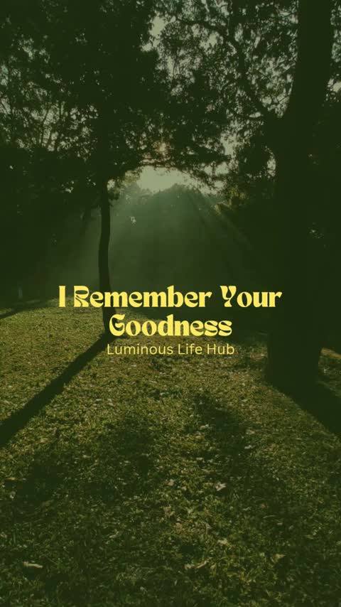@Luminous Life Hub