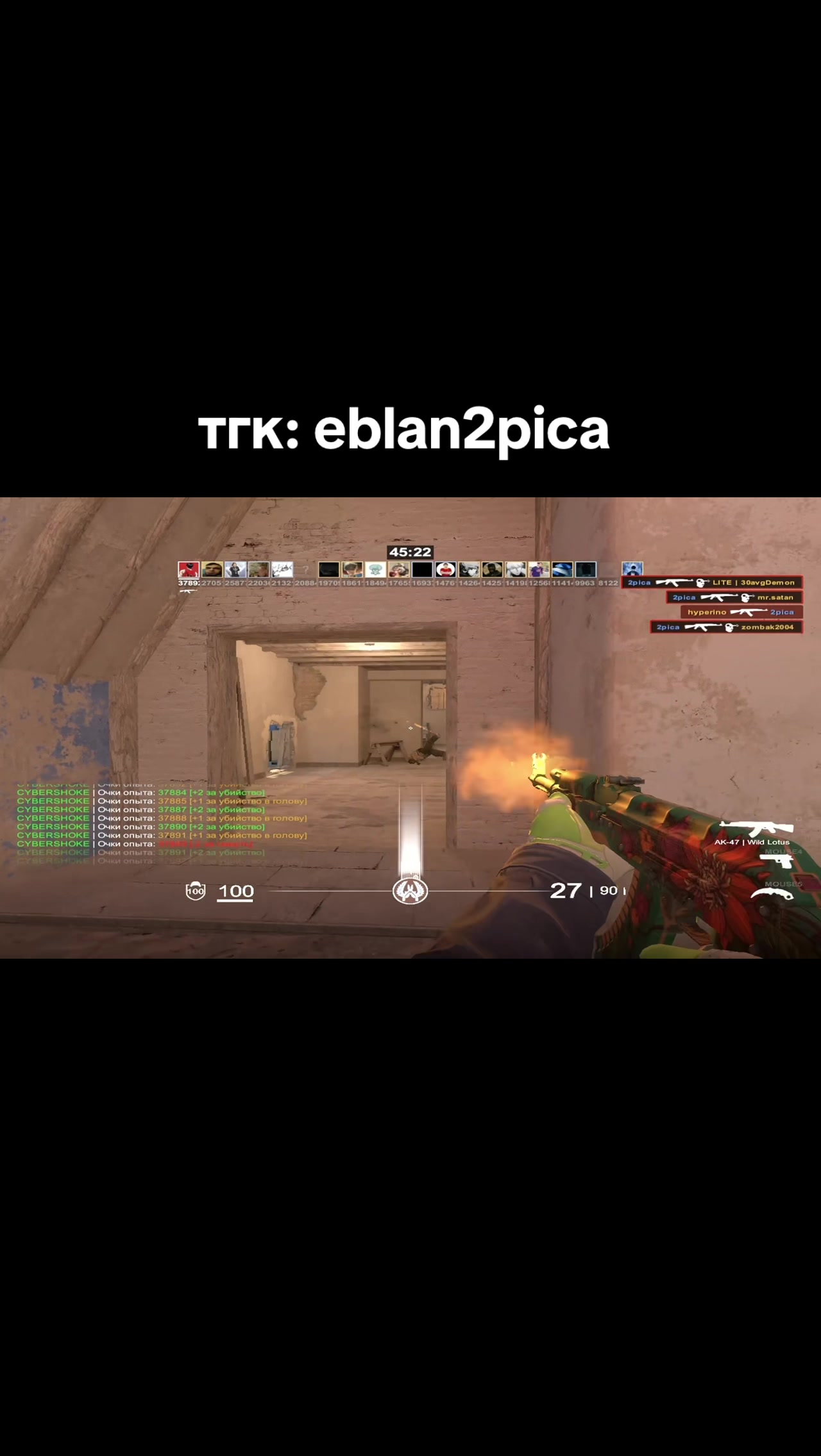 @тг: 2pica__