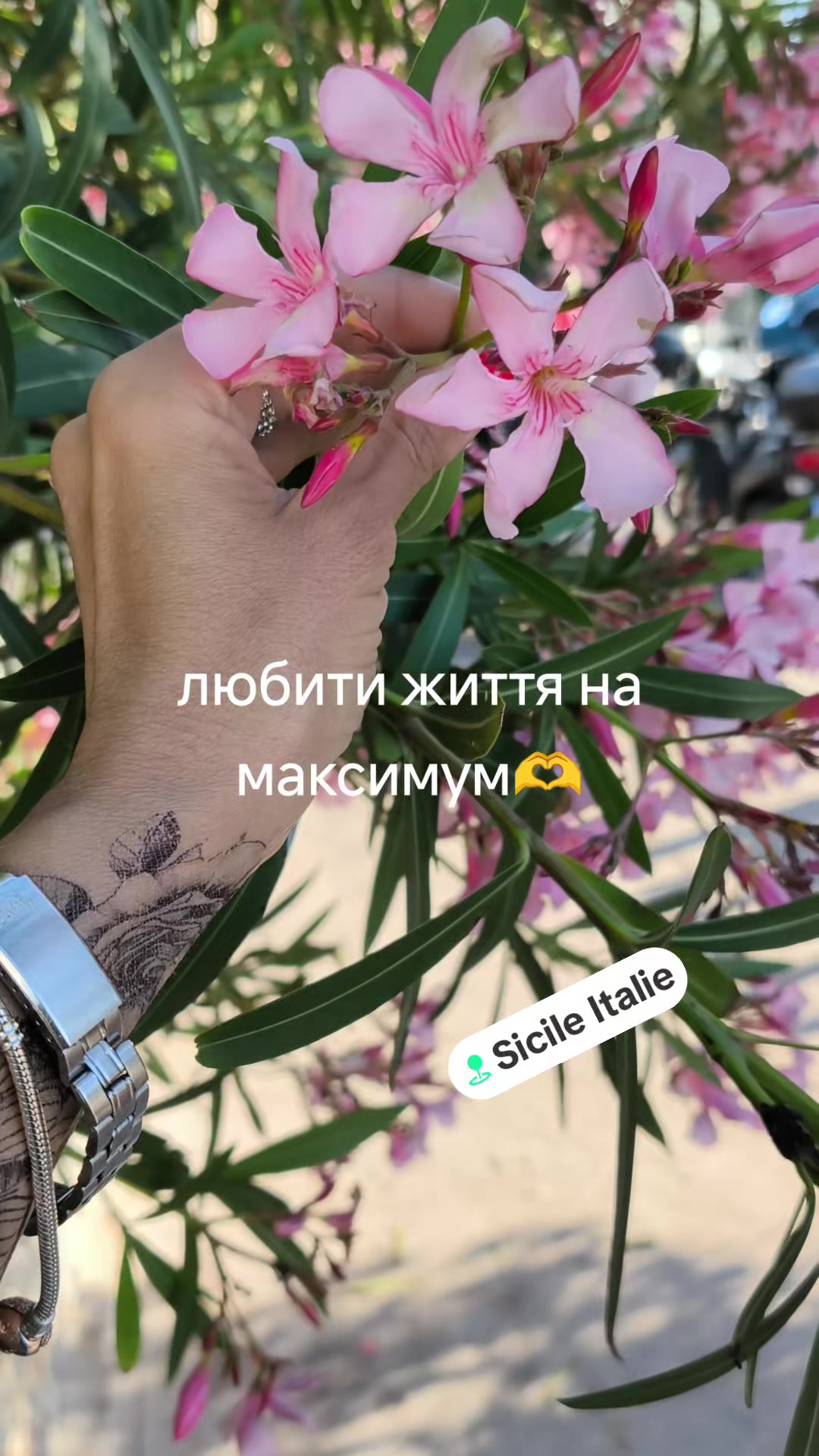 @Оленка🥳