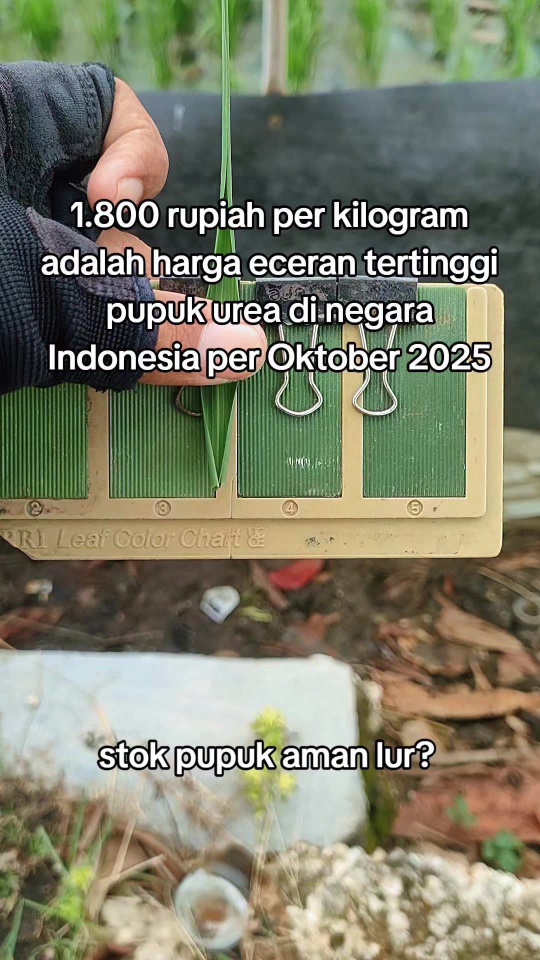 @ahmad mundir