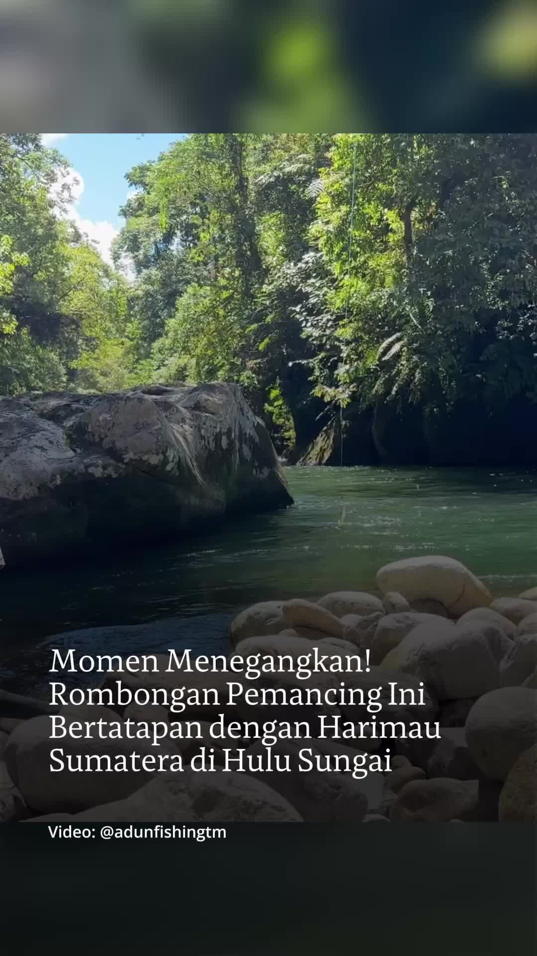 @mongabayindonesia