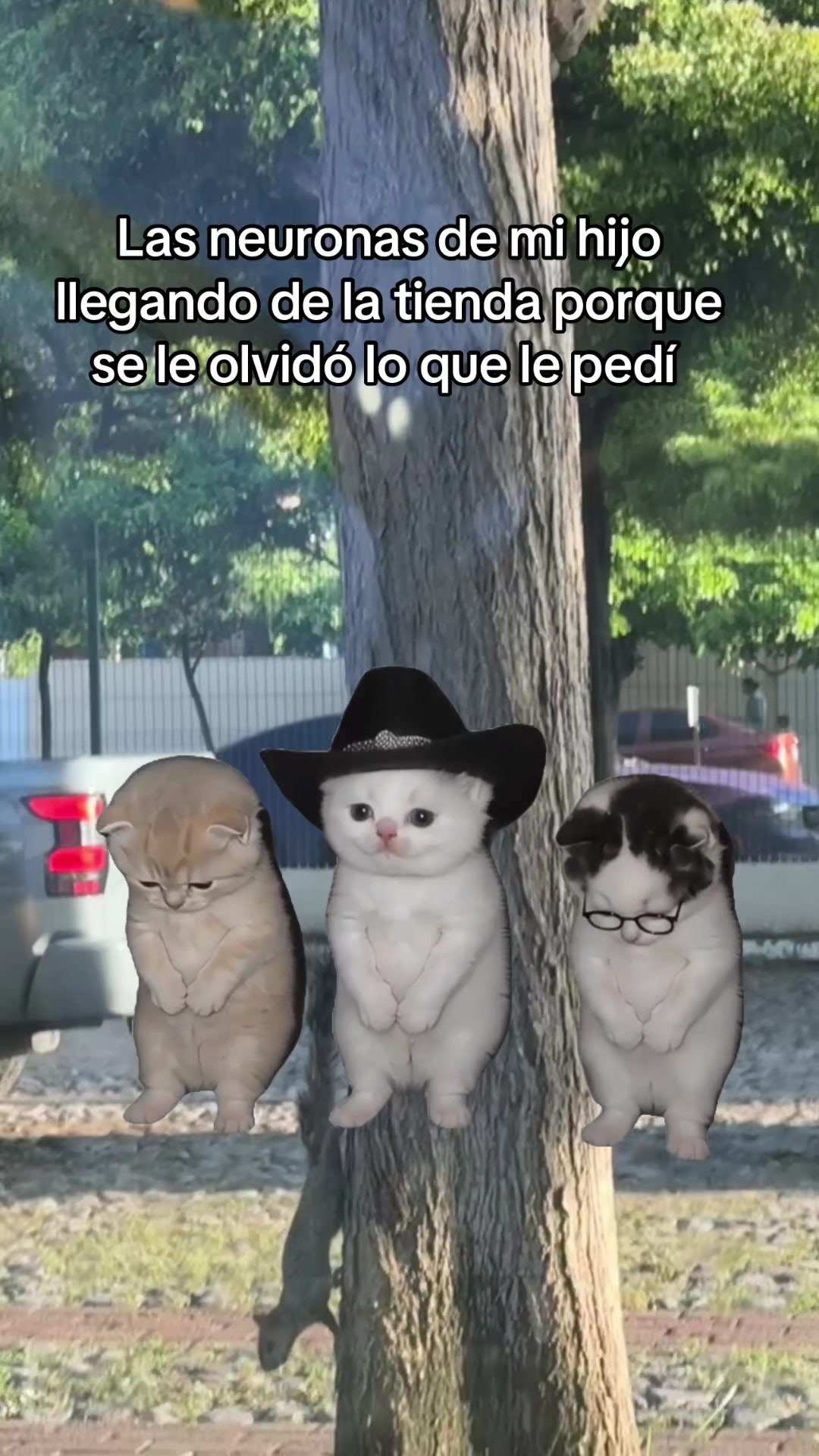@Alee ibarra 🇲🇽