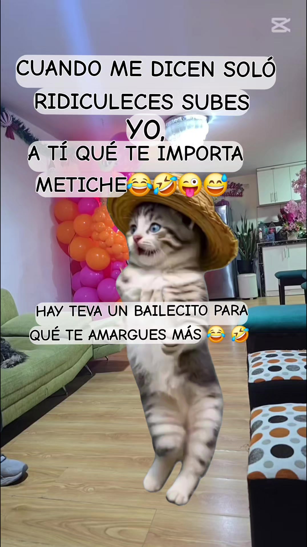 @Barbara Roo