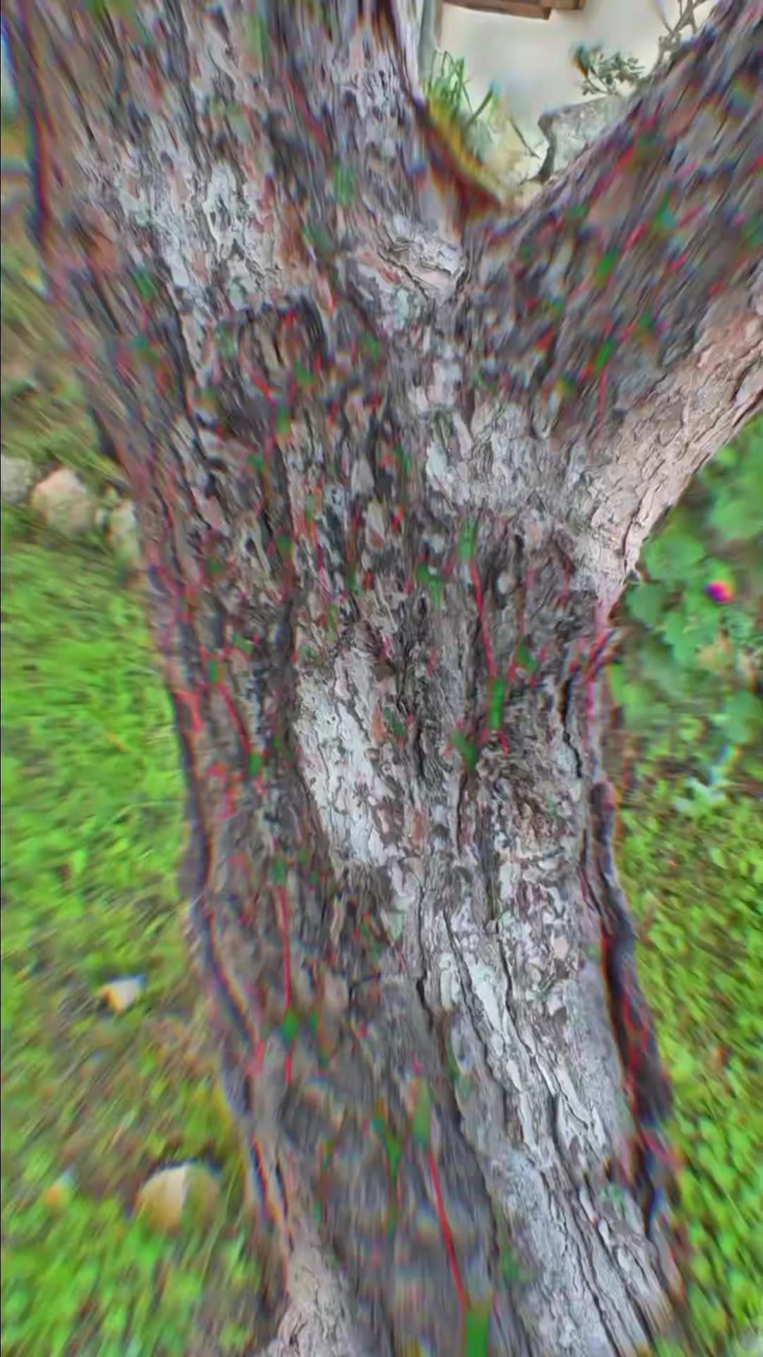 @🪐 Минуты небытия 🪐
