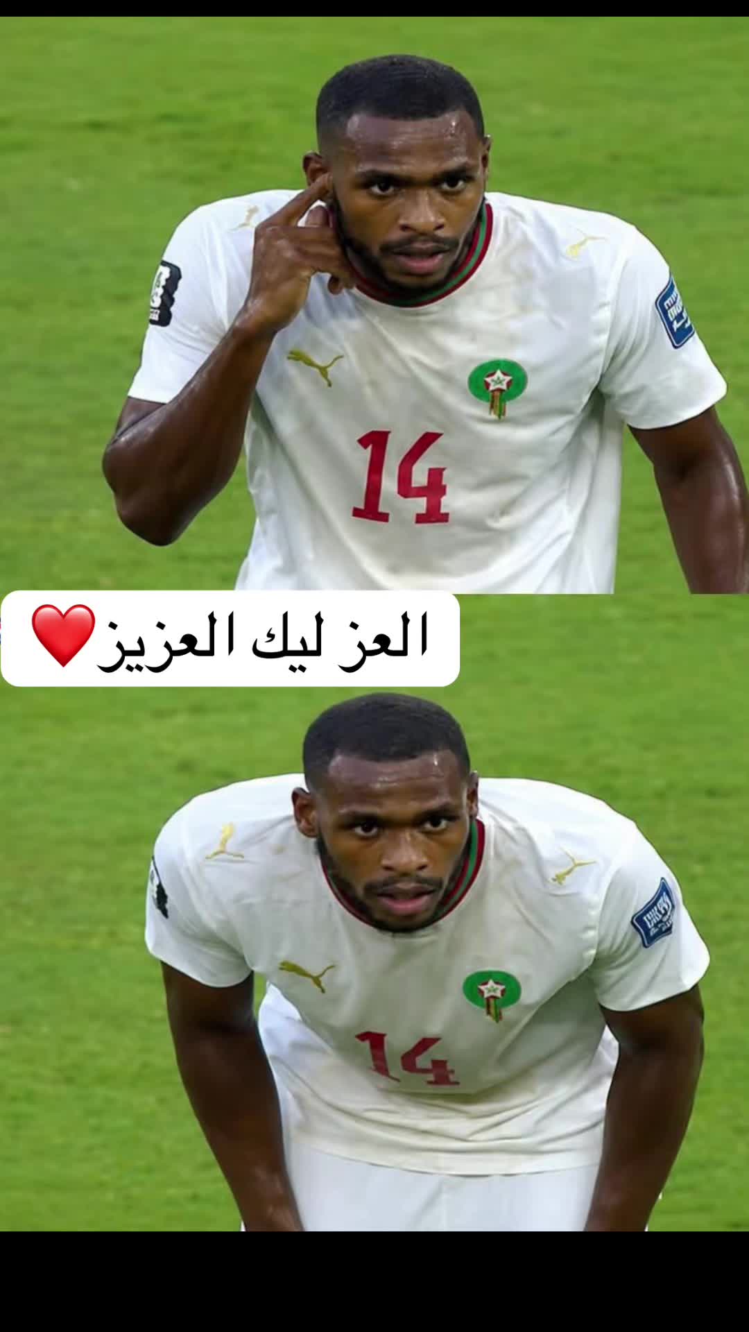 @sifa84