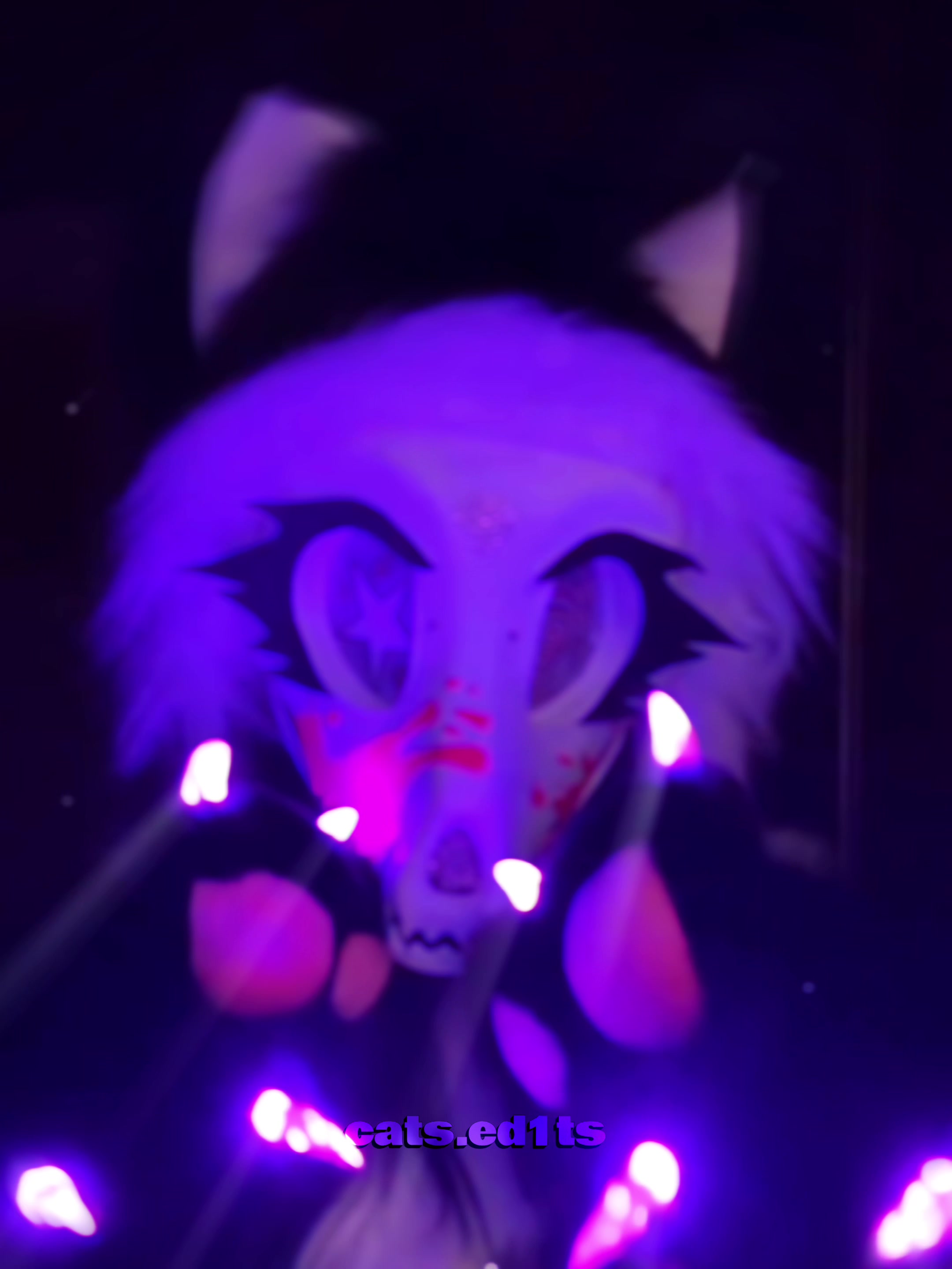 @cat :>