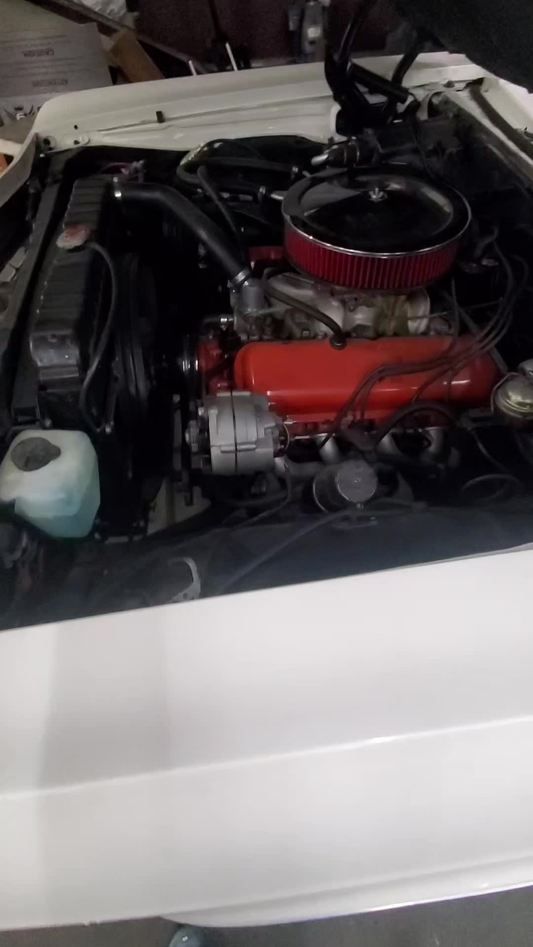 @310