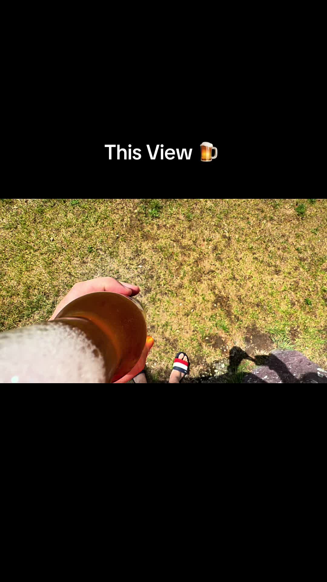 @Zomblights
