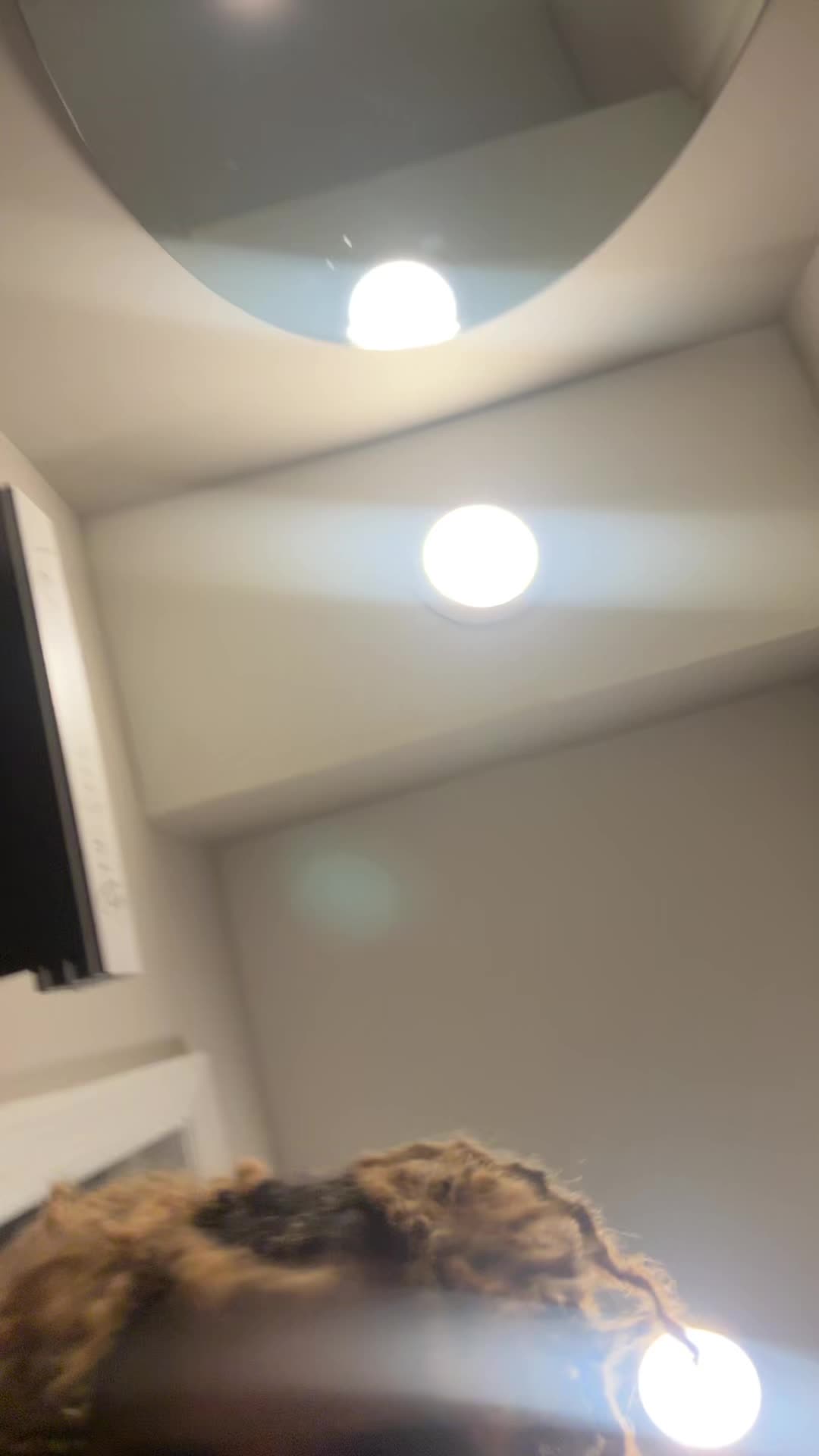 @Hoshisantana
