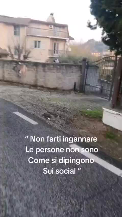 @ELETTRA L'ANIMALISTA