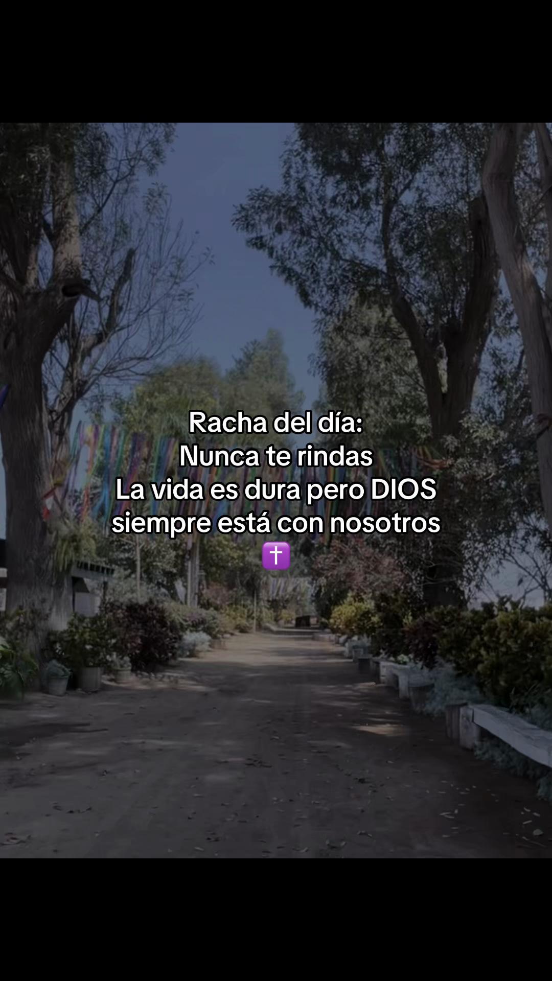 @🌷𝙋𝙖𝘃𝘦𝘭ᥫ᭡